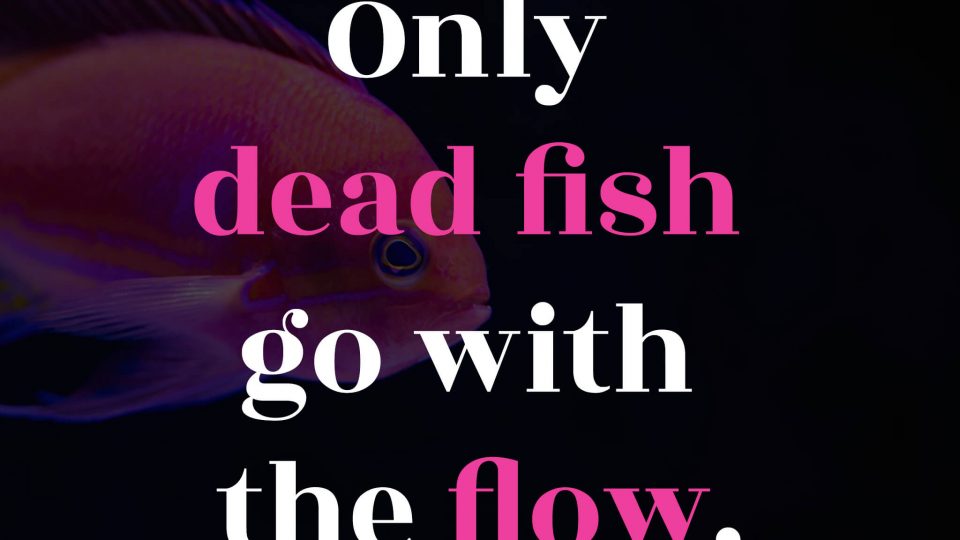 Only-dead-fish-go-with-the-flow